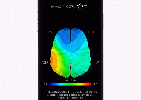 Viewing Brain Maps in Opti Brain