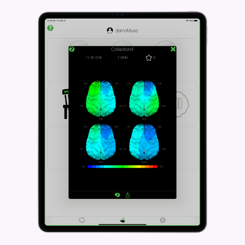 Interpreting Brain Maps and Movies